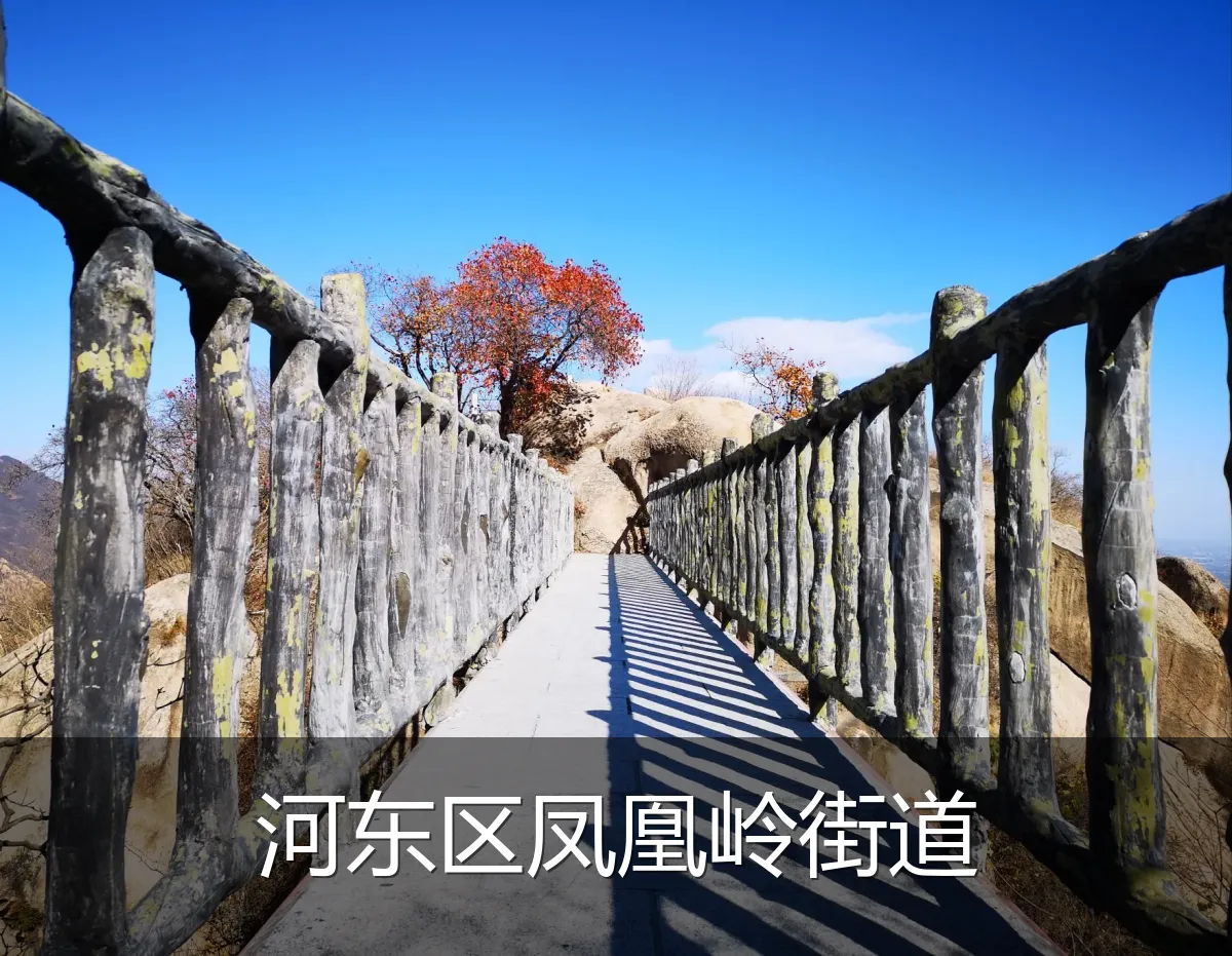 河东区凤凰岭街道