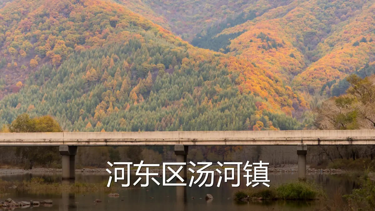 河东区汤河镇