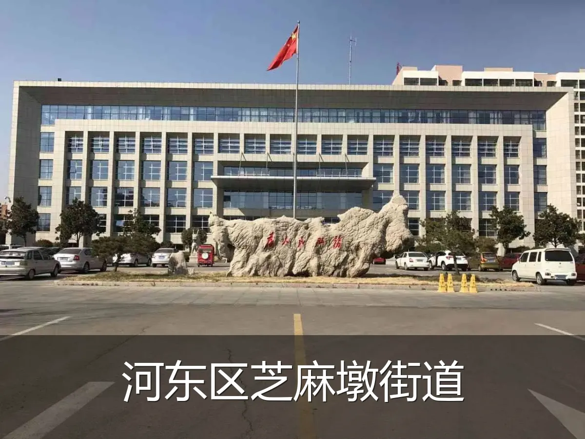 河东区芝麻墩街道
